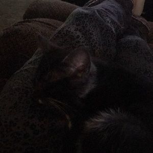 Meet your Posher, Vicki